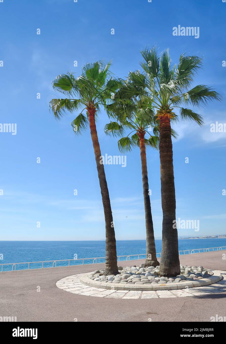 At Promenade de la Croisette,Cannes,Cote d`Azur,South of France Stock Photo